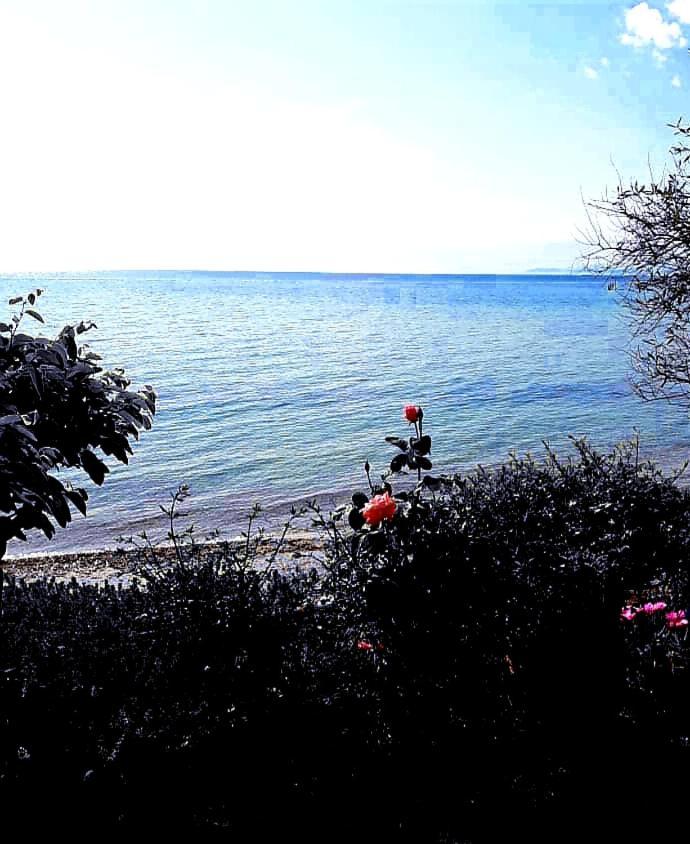 Mare Nostrum Neos Marmaras Exterior foto